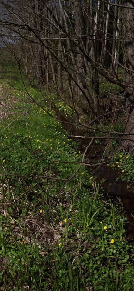Działka rolno-budowlana Kopytówka. Zdjęcie 3