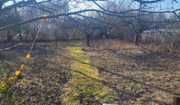 Działka rod Skierniewice