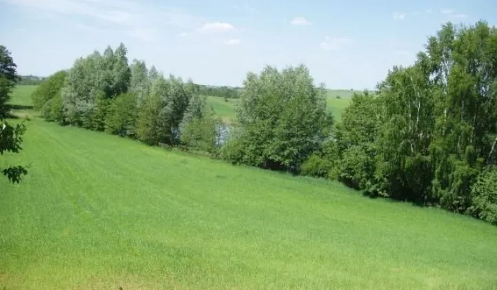 Działka rolno-budowlana Łukaszewo