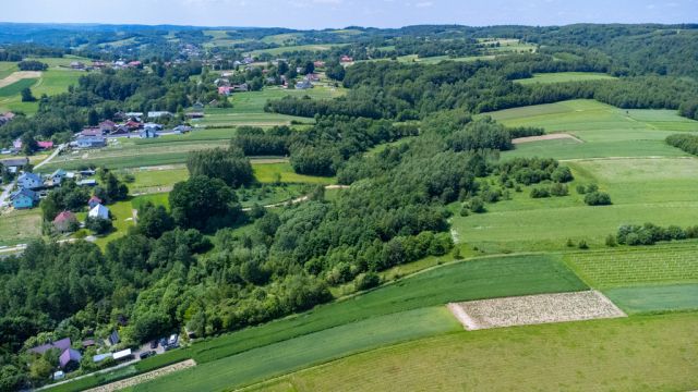 Działka rolno-budowlana Harta. Zdjęcie 9