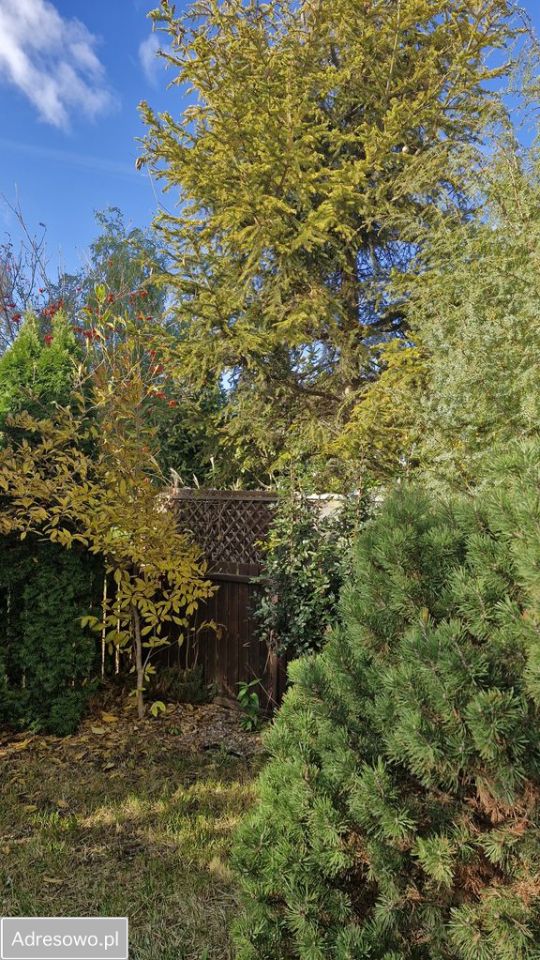 Mieszkanie 2-pokojowe Smolec, ul. Wrzosowa. Zdjęcie 8