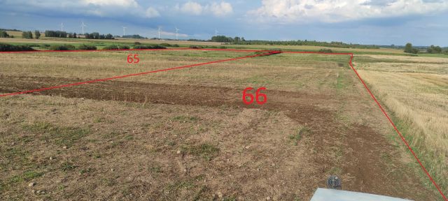 Działka rolna Niedanowo. Zdjęcie 1