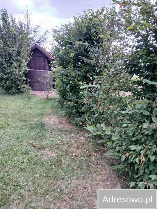 Działka budowlana Wólka Majdańska. Zdjęcie 4