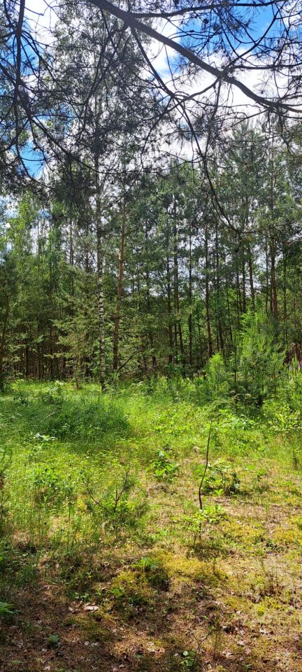 Działka budowlana Wersk. Zdjęcie 4
