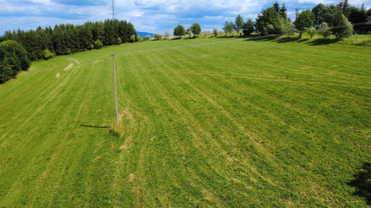 Działka rolna Krużlowa Niżna. Zdjęcie 7