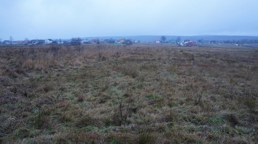 Działka inwestycyjna Lechów. Zdjęcie 2