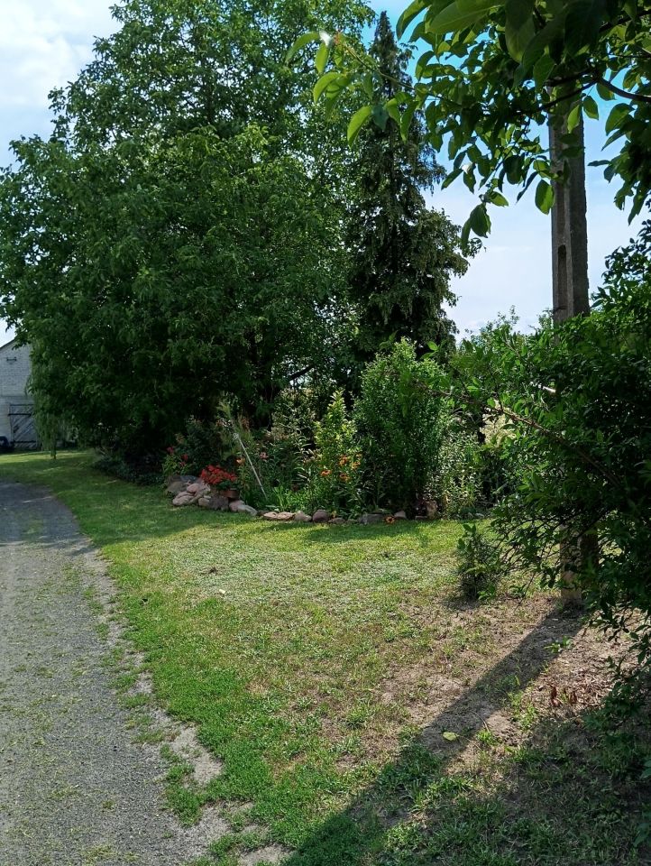 siedlisko, 4 pokoje Dukaczew. Zdjęcie 9