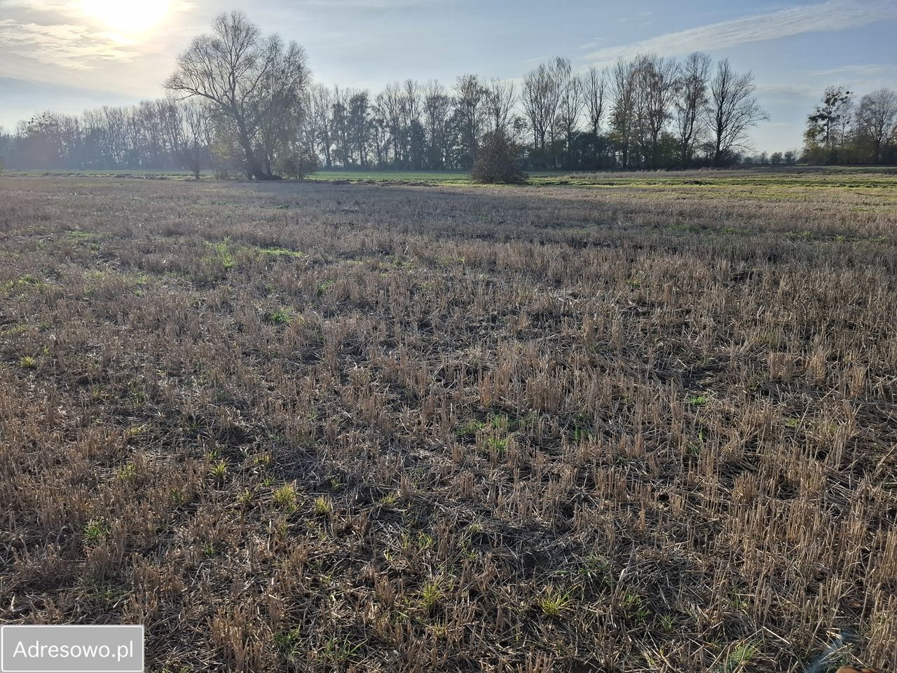 Działka rolno-budowlana Gdańsk Świbno. Zdjęcie 6