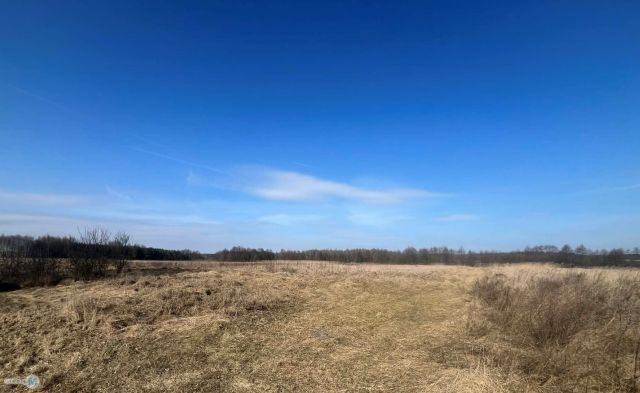 Działka rolna Śladków Duży. Zdjęcie 3