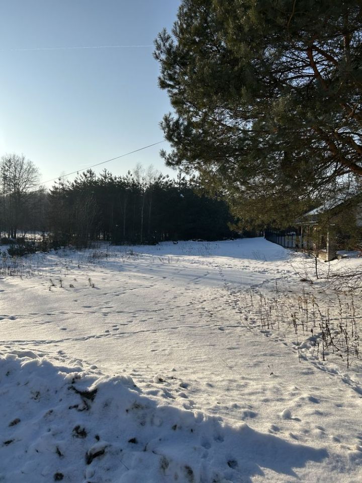 Działka budowlana Golemki. Zdjęcie 4