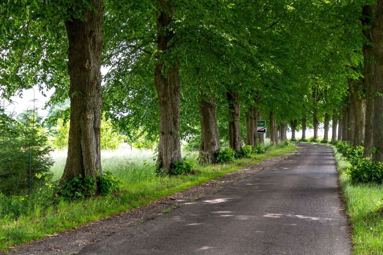 Działka budowlana Nieżyn. Zdjęcie 15