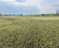 Działka budowlana Wrzeszewo. Zdjęcie 2