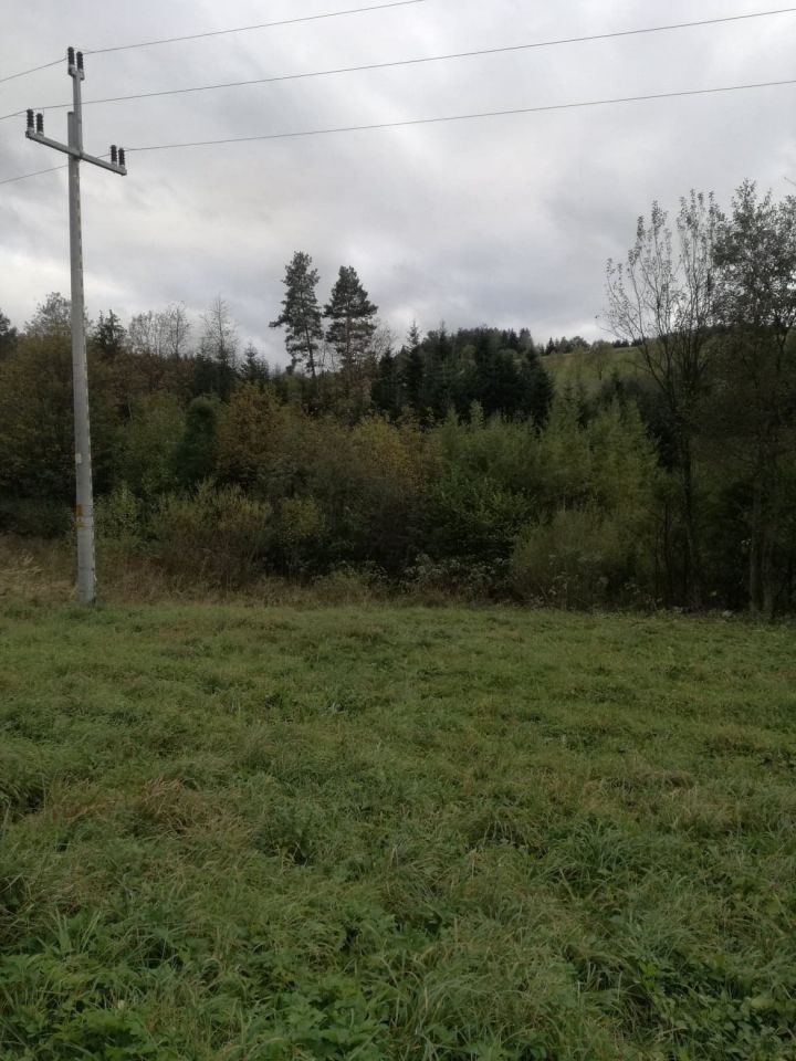 Działka rolna Berest. Zdjęcie 2