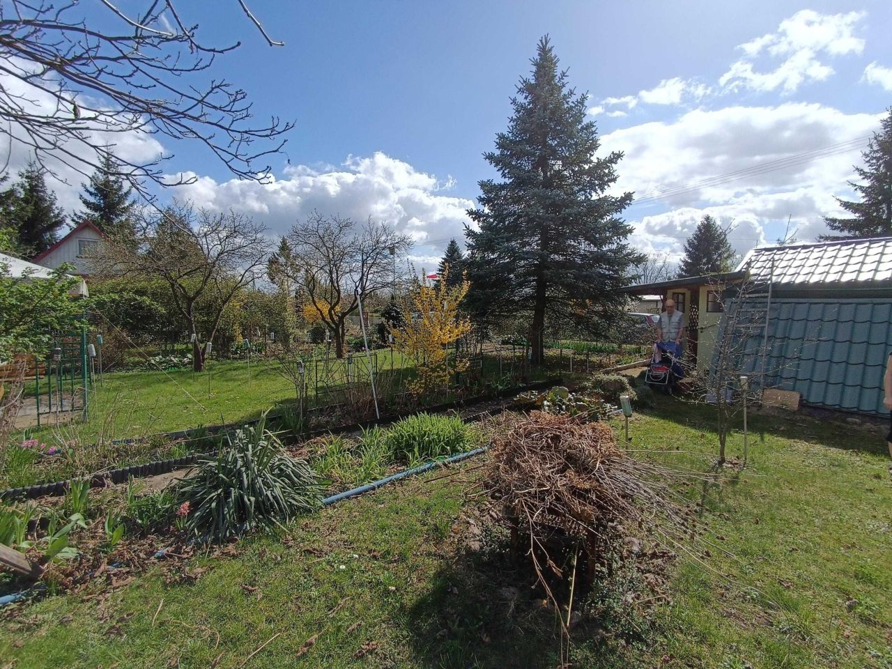 Działka rod Siedlce. Zdjęcie 5