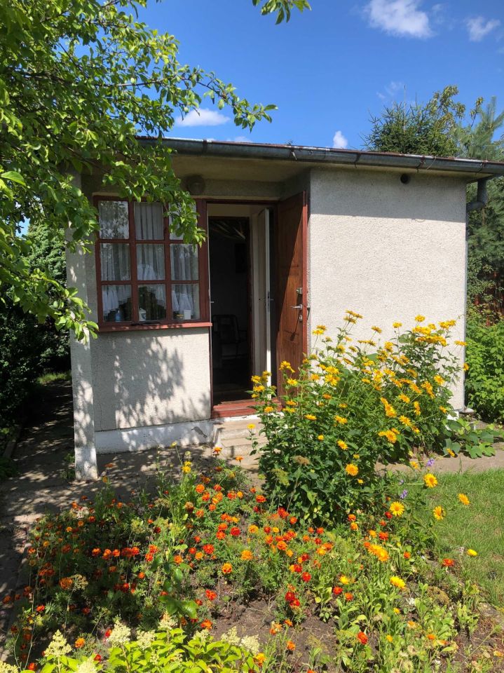 Działka rod Gdynia Oksywie. Zdjęcie 8