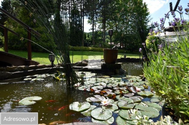 dom wolnostojący, 8 pokoi Dybawka, ul. Wesoła. Zdjęcie 4