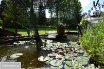 dom wolnostojący, 8 pokoi Dybawka, ul. Wesoła. Zdjęcie 2