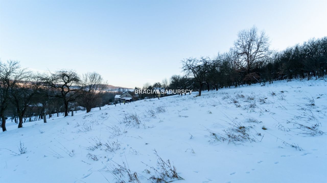 Działka inwestycyjna Czerna. Zdjęcie 16