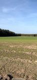 Działka rolno-budowlana Borkowo Lęborskie