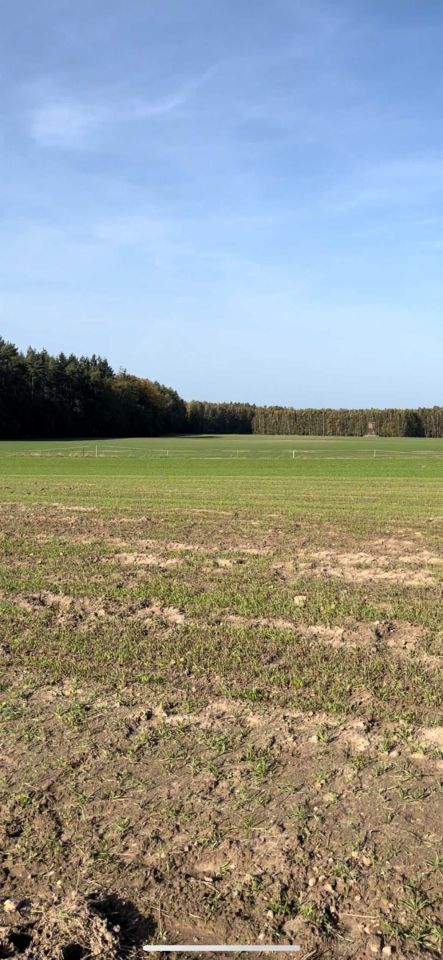 Działka rolno-budowlana Borkowo Lęborskie