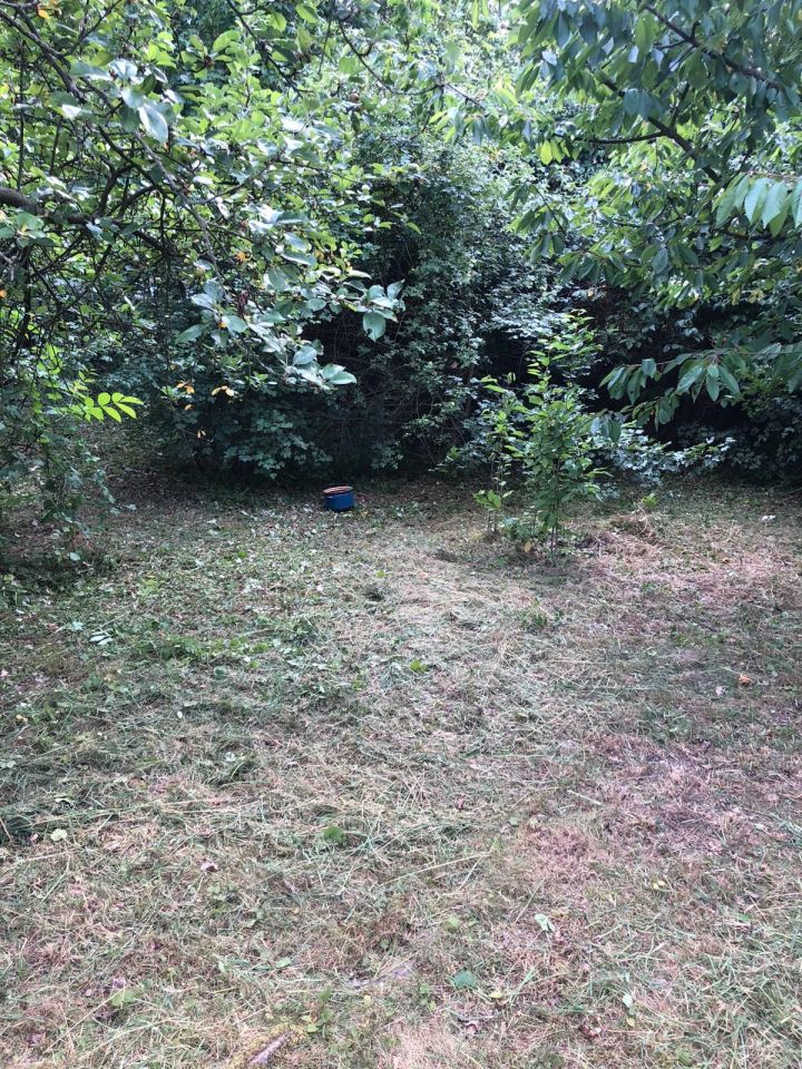 Działka rod Wrocław Zacisze. Zdjęcie 7