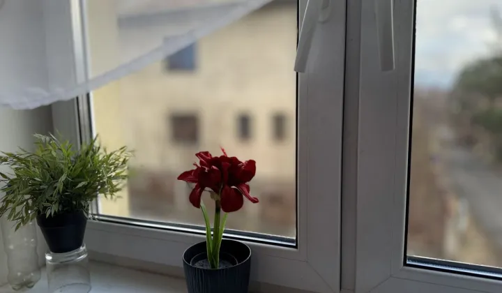 dom szeregowy, 10 pokoi Jelenia Góra Czarne