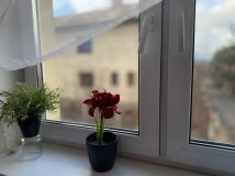 dom szeregowy, 10 pokoi Jelenia Góra Czarne