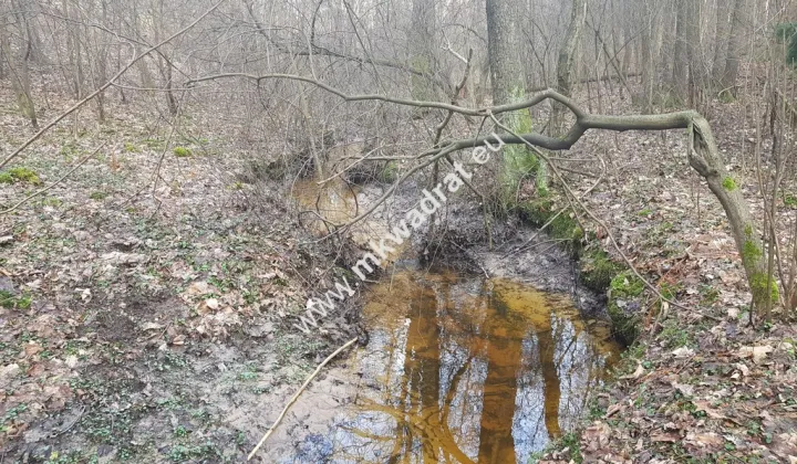 Działka budowlana Bieniewiec, www.mkwadrat.eu