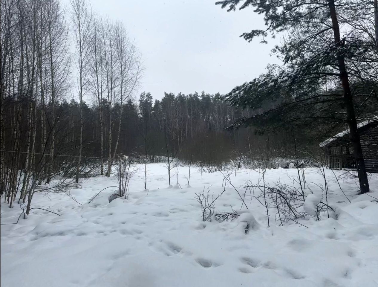 Działka budowlana Naglady, ul. Żurawia. Zdjęcie 11