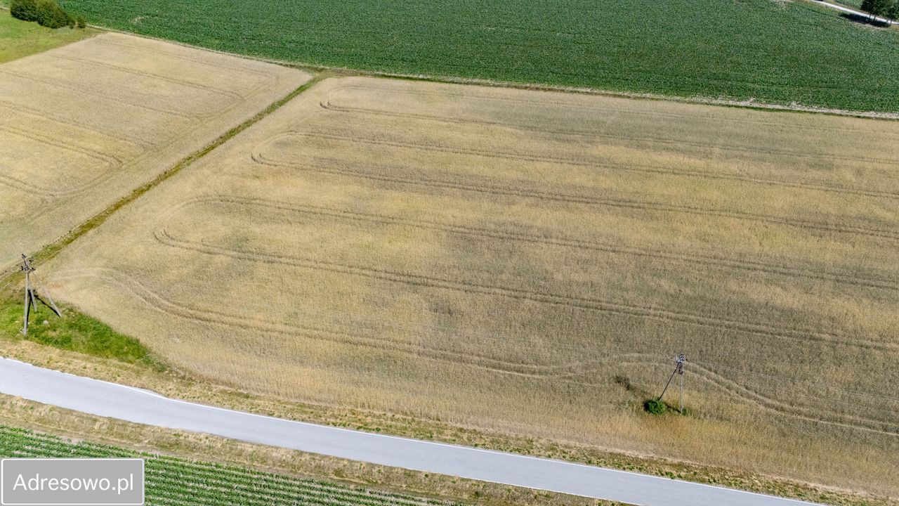 Działka rolna Sypniewo. Zdjęcie 9