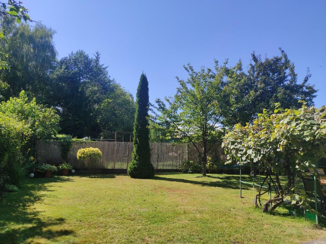 Działka rod Konin, ul. Świętojańska. Zdjęcie 6