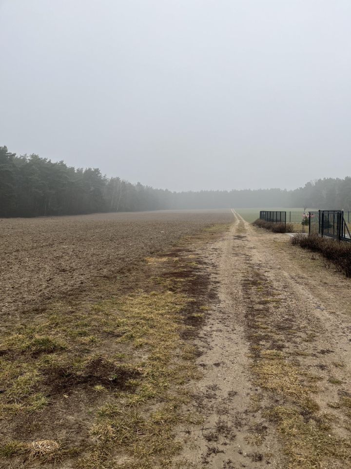 Działka budowlana Ludwikowo. Zdjęcie 4