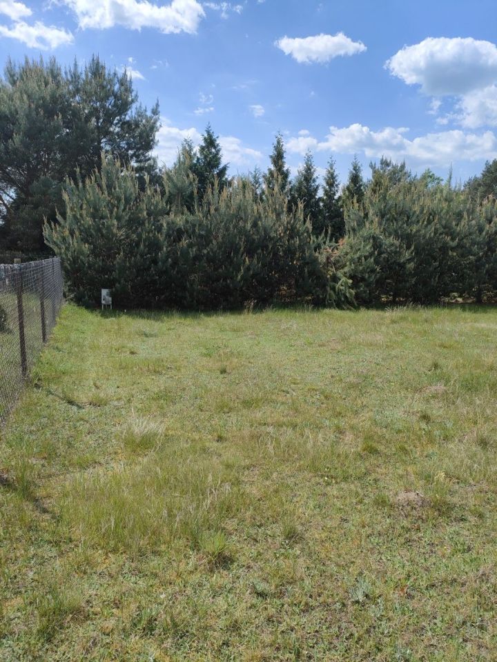 Działka rekreacyjna Lubieniec Wieś Lubieniecka. Zdjęcie 6