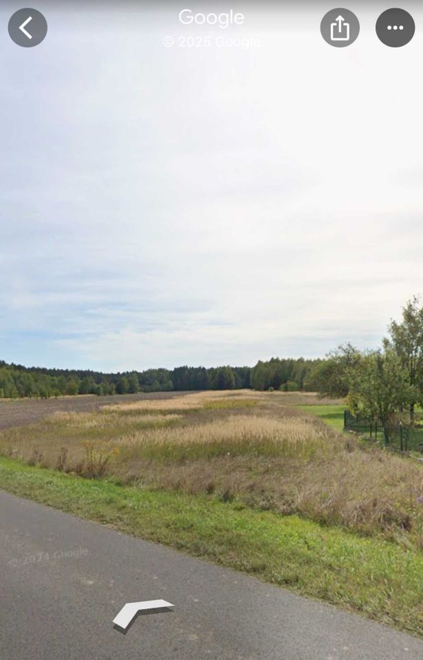 Działka rolna Soborzyce. Zdjęcie 7