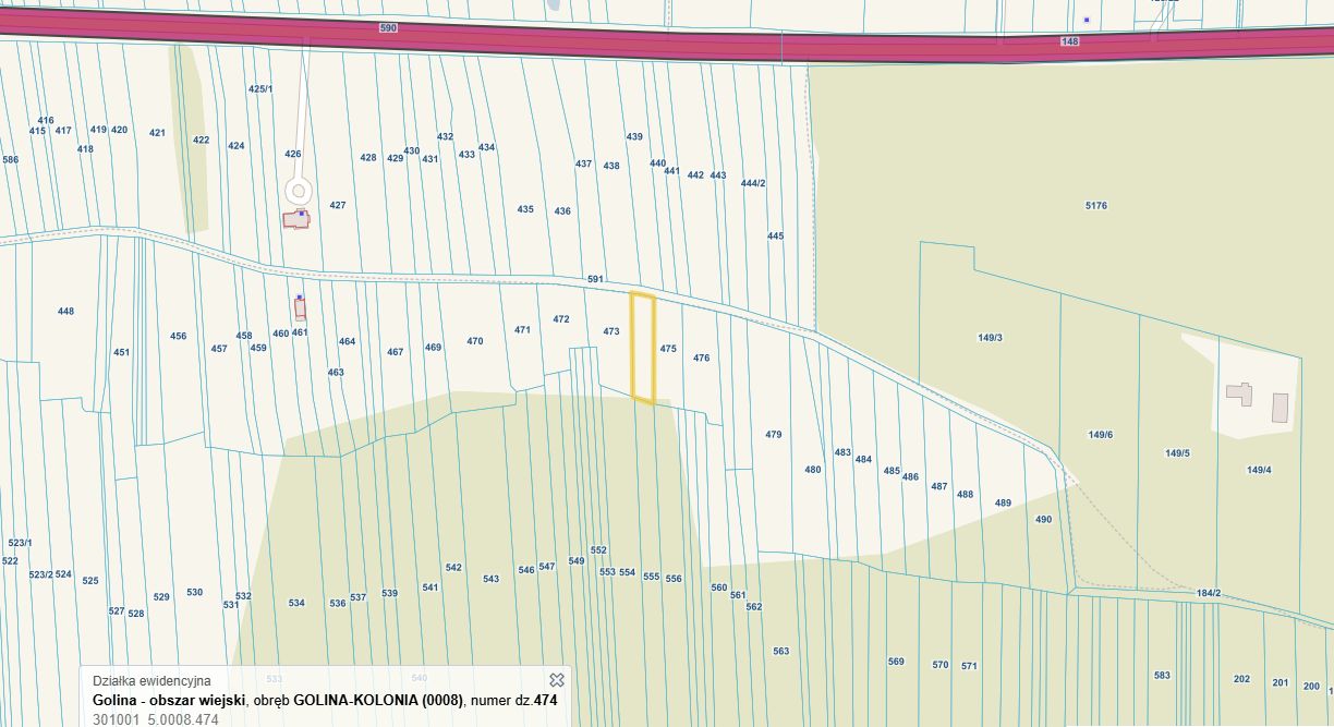 Działka rolna Golina-Kolonia. Zdjęcie 3