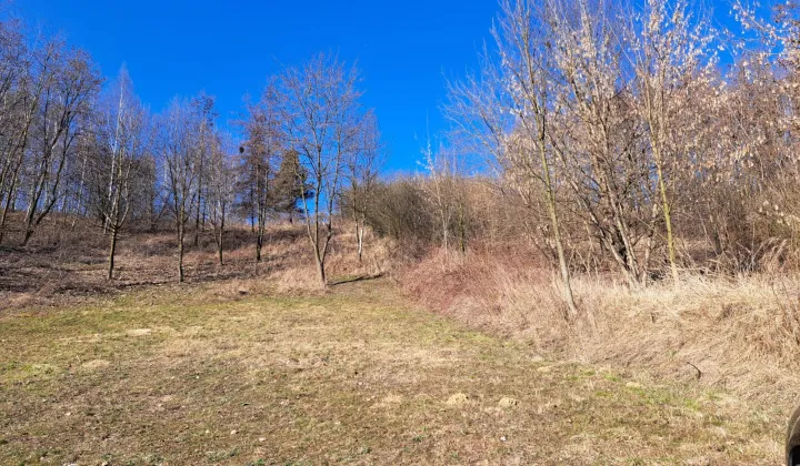 Działka budowlana Wysiołek Luborzycki, ul. Miodowa