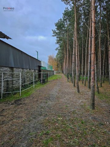 dom wolnostojący, 5 pokoi Chylin. Zdjęcie 23