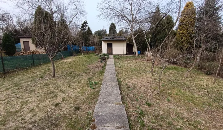 Działka rod Sosnowiec Pogoń, ul. Będzińska