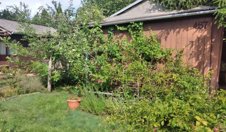 Działka rod Warszawa Białołęka