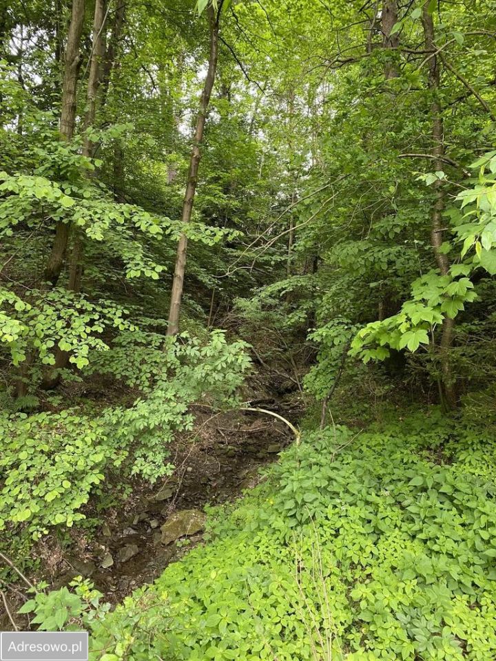 dom wolnostojący, 3 pokoje Krzeszów. Zdjęcie 18