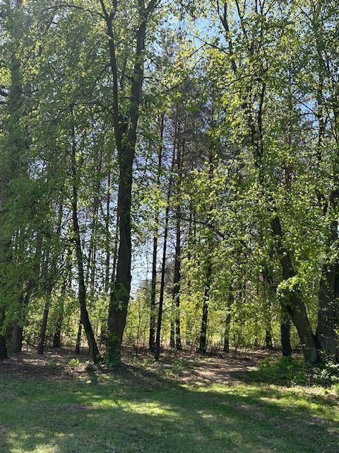 dom wolnostojący, 7 pokoi Ostrów Mazowiecka, ul. Różańska. Zdjęcie 7