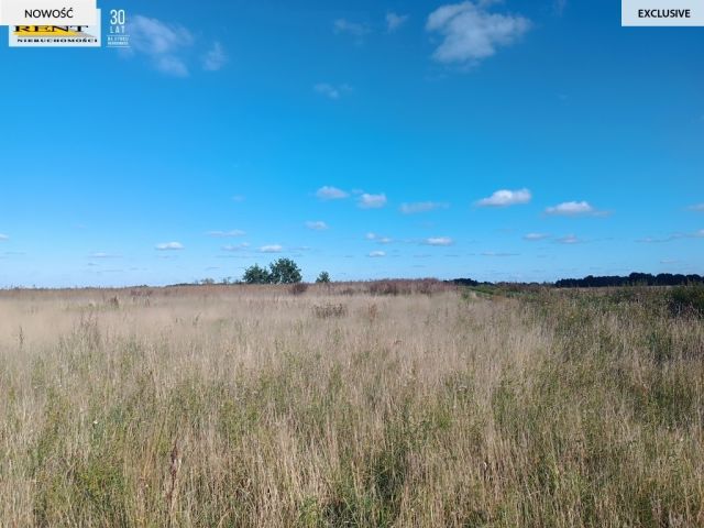 Działka budowlana Kicko. Zdjęcie 5