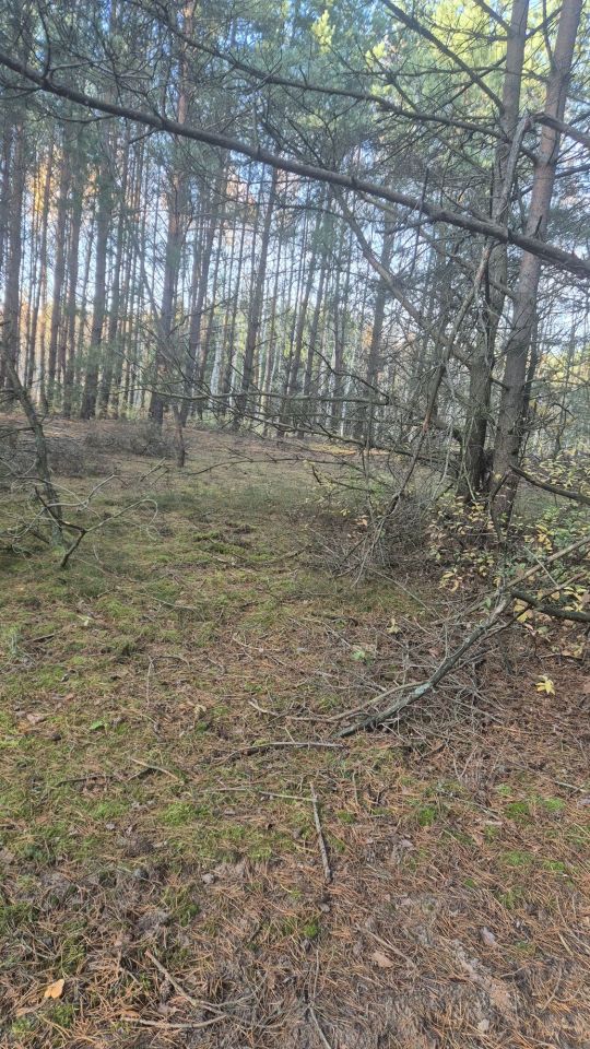 Działka rolno-budowlana Dubielno. Zdjęcie 6