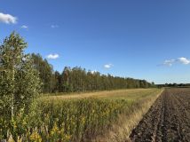 Działka leśna Charytany Zamiśnie