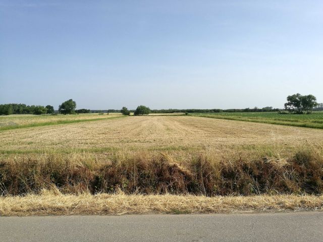 Działka budowlana Chrząstów. Zdjęcie 1