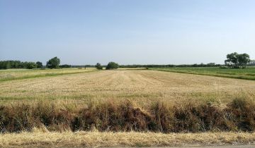 Działka budowlana Chrząstów