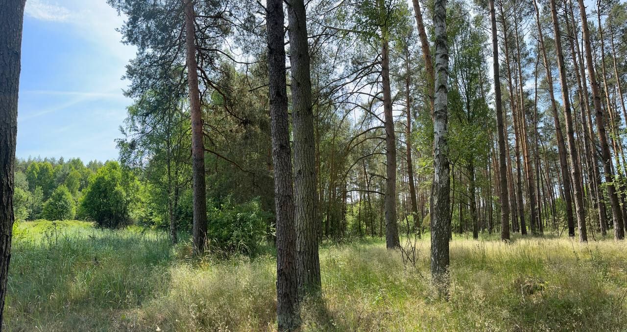 Działka rolna Trzebule. Zdjęcie 6