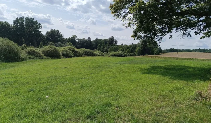 Działka rolna Pławno