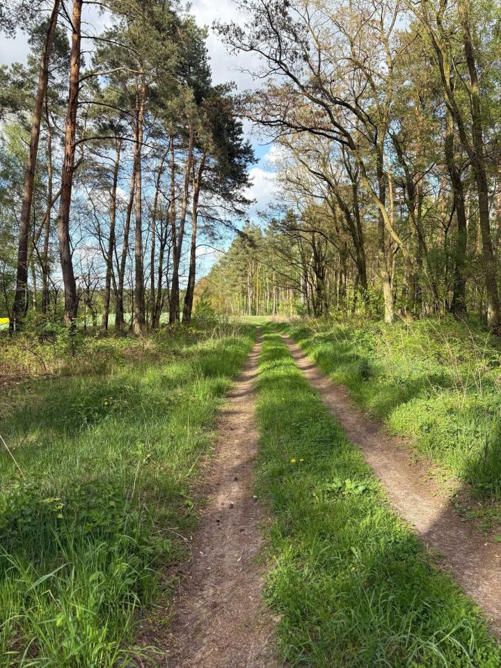 Działka budowlana Jabłkowo. Zdjęcie 5