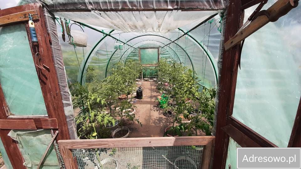 Działka rod Szczecin Pomorzany, ul. Białowieska. Zdjęcie 11